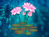 Water Lilies PowerPoint Templates and Themes