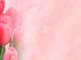 Valentine's Day - Tulips and Angels PowerPoint Templates
