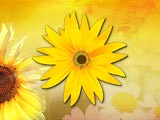 Summer powerpoint template